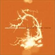 El texto musical RENEGADE de ABANDONED POOLS también está presente en el álbum Armed to the teeth (2005)