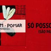 El texto musical SÓ POSSO DIZER (SÃO PAULO) de NANDO REIS también está presente en el álbum Jardim - pomar (2016)