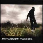 El texto musical A DIFFERENT PLACE de BRETT ANDERSON también está presente en el álbum Wilderness (2008)