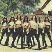 El texto musical INDESTRUCTIBLE de GIRLS' GENERATION también está presente en el álbum The best (2014)