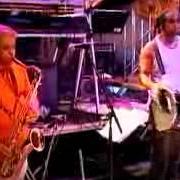 Raça negra - 25 anos