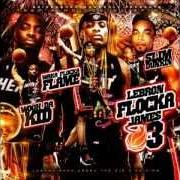 El texto musical HARD N DA PAINT de WAKA FLOCKA FLAME también está presente en el álbum Lebron flocka james (2009)