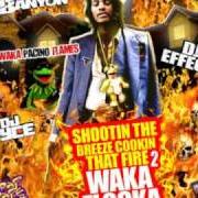 El texto musical REAL DOWN ASS GIRL de WAKA FLOCKA FLAME también está presente en el álbum Shootin' the breeze cookin' that fire (2009)