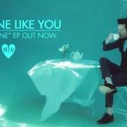 El texto musical SOMEONE LIKE YOU de MAYER HAWTHORNE también está presente en el álbum Party of one (2016)