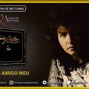 El texto musical AMIGO MEU de SHIRLEY CARVALHAES también está presente en el álbum Amigo meu (1991)