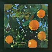 El texto musical VIOLET BENT BACKWARDS OVER THE GRASS de LANA DEL REY también está presente en el álbum Violet bent backwards over the grass (2020)