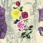 El texto musical HEY AMANDA de BROKEN SOCIAL SCENE también está presente en el álbum Remember the humans (2026)