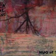 El texto musical HALFWAY HOME de BROKEN SOCIAL SCENE también está presente en el álbum Hug of thunder (2017)