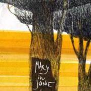 El texto musical NEL BUIO de MARY IN JUNE también está presente en el álbum Ferirsi (2011)