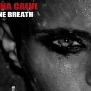 El texto musical I'LL BE YOUR MAN de ANNA CALVI también está presente en el álbum Anna calvi (2011)
