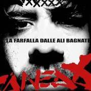 El texto musical ICARO REMIX de CANEDA también está presente en el álbum La farfalla dalle ali bagnate (2009)