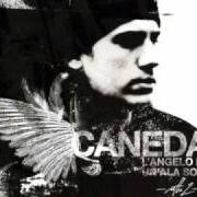 El texto musical LA NOTTE de CANEDA también está presente en el álbum L'angelo da un'ala sola (2006)