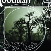 El texto musical THE WHIMPER OF WHIPPED DOGS de ABDULLAH también está presente en el álbum Graveyard poetry (2002)