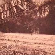 El texto musical TUESDAY NIGHT RAIN de DYLAN LEBLANC también está presente en el álbum Pauper's field (2010)