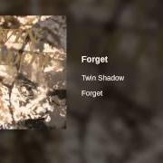 El texto musical I CANT WAIT de TWIN SHADOW también está presente en el álbum Forget (2010)