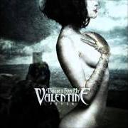 El texto musical BEGGING FOR MERCY de BULLET FOR MY VALENTINE también está presente en el álbum Fever (2010)