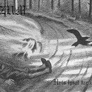 El texto musical HVIS LYSET TAR OSS (WENN DAS LICHT UNS NIMMT) de BURZUM también está presente en el álbum Hvis lyset tar oss (1993)