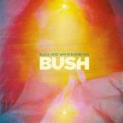 El texto musical TOMA MI CORAZON de BUSH también está presente en el álbum Black and white rainbows (2017)