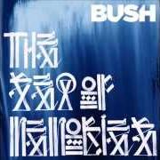 El texto musical ALL NIGHT DOCTORS de BUSH también está presente en el álbum The sea of memories (2011)