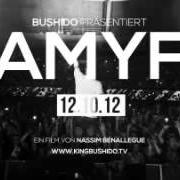 El texto musical SÜDRAPSTARZ 2 de BUSHIDO también está presente en el álbum Amyf (2012)