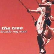 El texto musical THERE FOR ME de BY THE TREE también está presente en el álbum Invade my soul (2001)