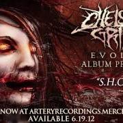 El texto musical LILITH de CHELSEA GRIN también está presente en el álbum Evolve (2012)