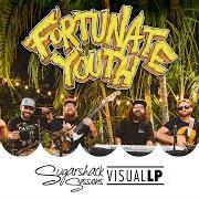 El texto musical IN THE AIR de FORTUNATE YOUTH también está presente en el álbum Live life (2019)