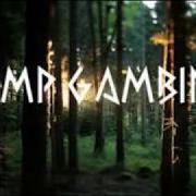 El texto musical BONFIRE de CHILDISH GAMBINO también está presente en el álbum Camp (2011)