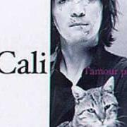 El texto musical IL Y A UNE QUESTION de CALI también está presente en el álbum L'amour parfait (2003)