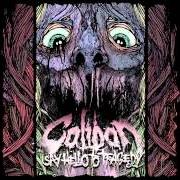 El texto musical UNLEASH YOUR VOICE de CALIBAN también está presente en el álbum Say hello to tragedy (2009)