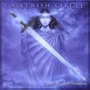 El texto musical SHADOWS OF THE PAST de CALLENISH CIRCLE también está presente en el álbum Graceful... yet forbidding (1999)