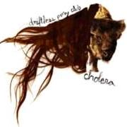El texto musical TRAINY MCGEE de DRIFTLESS PONY CLUB también está presente en el álbum Cholera (2006)