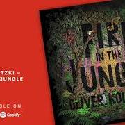 El texto musical ENDORPHINS de OLIVER KOLETZKI también está presente en el álbum Fire in the jungle (2019)