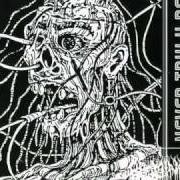 El texto musical REBIRTH de ABOMINANT también está presente en el álbum Never truly dead (1994)