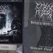 El texto musical SEWN FOR SOLITUDE de CARACH ANGREN también está presente en el álbum Franckensteina strataemontanus (2020)