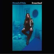 El texto musical KEYS de STRAND OF OAKS también está presente en el álbum Eraserland (2019)