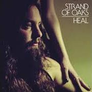 El texto musical JM de STRAND OF OAKS también está presente en el álbum Heal (2014)
