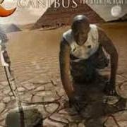 El texto musical ONE OUGHT NOT TO THINK de CANIBUS también está presente en el álbum For whom the beat tolls (2007)