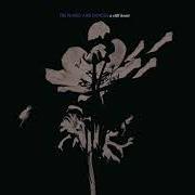 A still heart A still heart