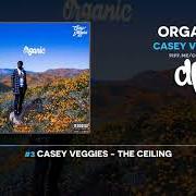 El texto musical BANNERS de CASEY VEGGIES también está presente en el álbum Organic (2019)