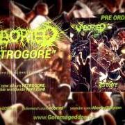 El texto musical TERMINATION REDUX (ALTERNATE VERSION) de ABORTED también está presente en el álbum Retrogore (2016)