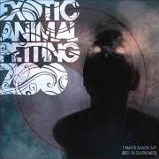 El texto musical IRA LORE de EXOTIC ANIMAL PETTING ZOO también está presente en el álbum I have made my bed in darkness (2008)