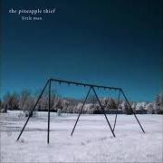 El texto musical DEAD IN THE WATER de THE PINEAPPLE THIEF también está presente en el álbum Little man (2010)