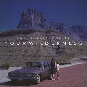 El texto musical FEND FOR YOURSELF de THE PINEAPPLE THIEF también está presente en el álbum Your wilderness (2016)