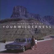 El texto musical THE FINAL THING ON MY MIND de THE PINEAPPLE THIEF también está presente en el álbum Your wilderness (2016)