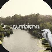 El texto musical VITAMINA EN RAMA de CARLOS VIVES también está presente en el álbum Cumbiana (2020)