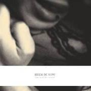 El texto musical GREY HAIR de BIRDS IN ROW también está presente en el álbum You, me and the violence