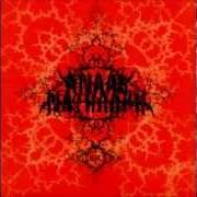 El texto musical BETWEEN SHIT AND PISS WE ARE BORN de ANAAL NATHRAKH también está presente en el álbum Eschaton (2006)