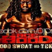 El texto musical ERRRYTHANG de ACE HOOD también está presente en el álbum Blood, sweat & tears (2011)