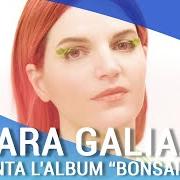 El texto musical KAMIKAZE de CHIARA GALIAZZO también está presente en el álbum Bonsai (come fare le cose grandi in piccolo) (2020)